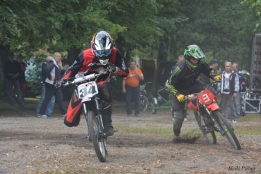 Sürgavere võrr 2015, Market day